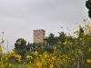 caminada-penedes-29-5-11-075-27