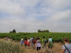 caminada-penedes-29-5-11-075-33