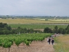 caminada-penedes-29-5-11-075-53