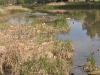 37-caminada-4